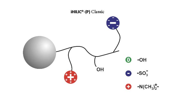   Schematic illustation of the iHILIC®-(P) Classic stationary phase.