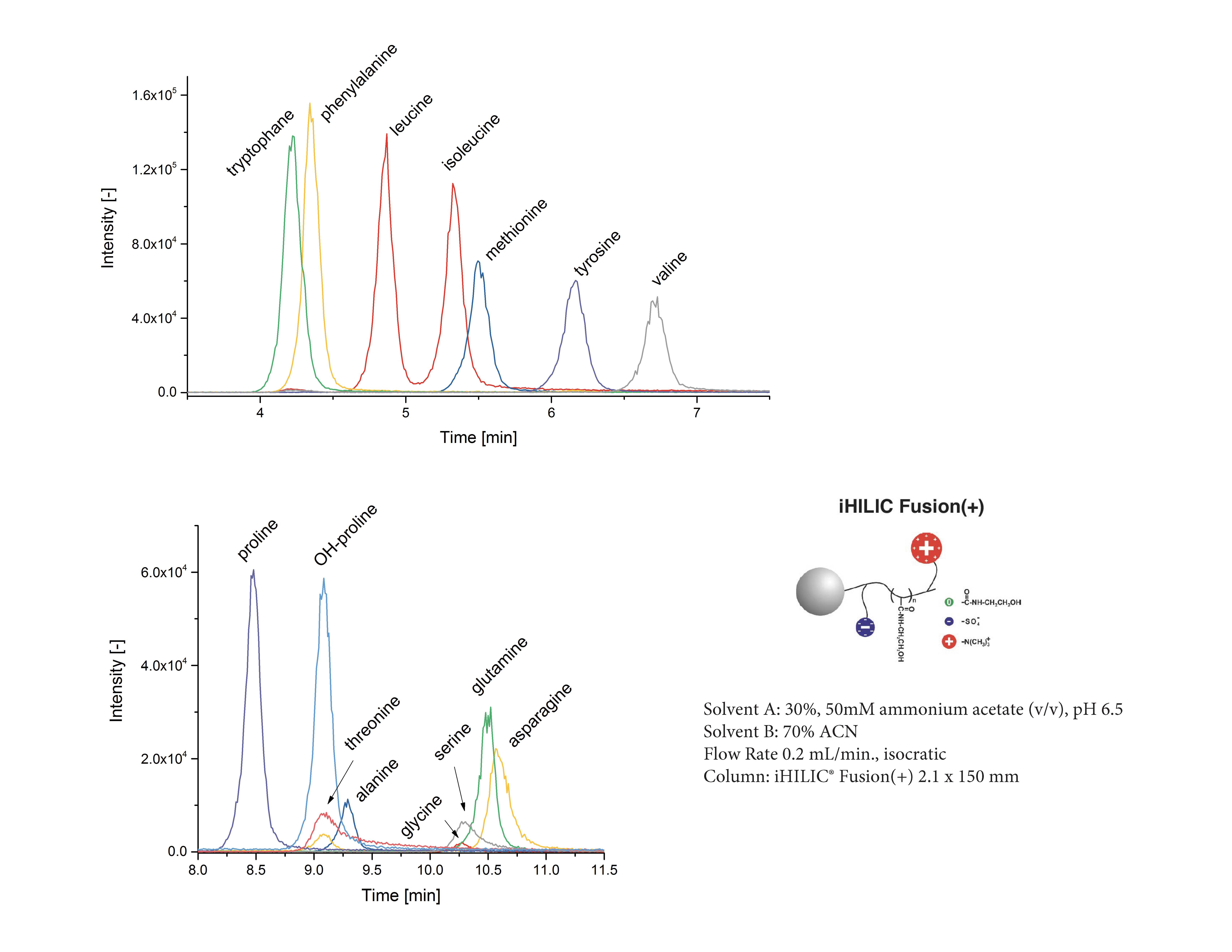Underivatized Amino Acids Metabolomics LC/MS