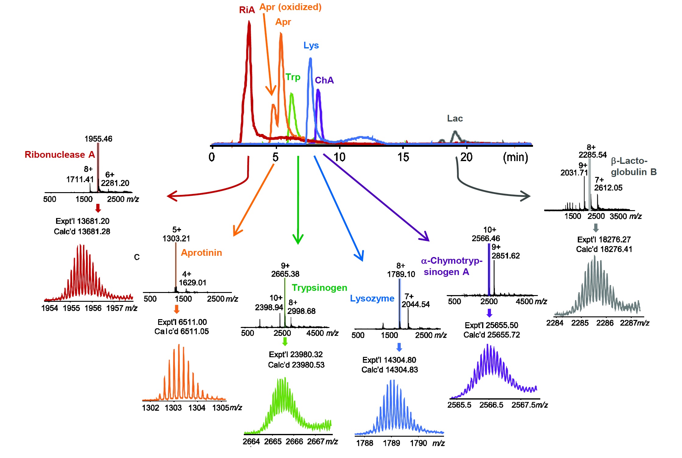   HIC-MS for Top Down Proteomics.
