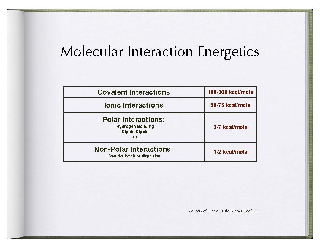  Relative energetics of interactions.